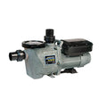 Waterway Power Defender 140 Variable Speed Pump, 1.4 Horsepower