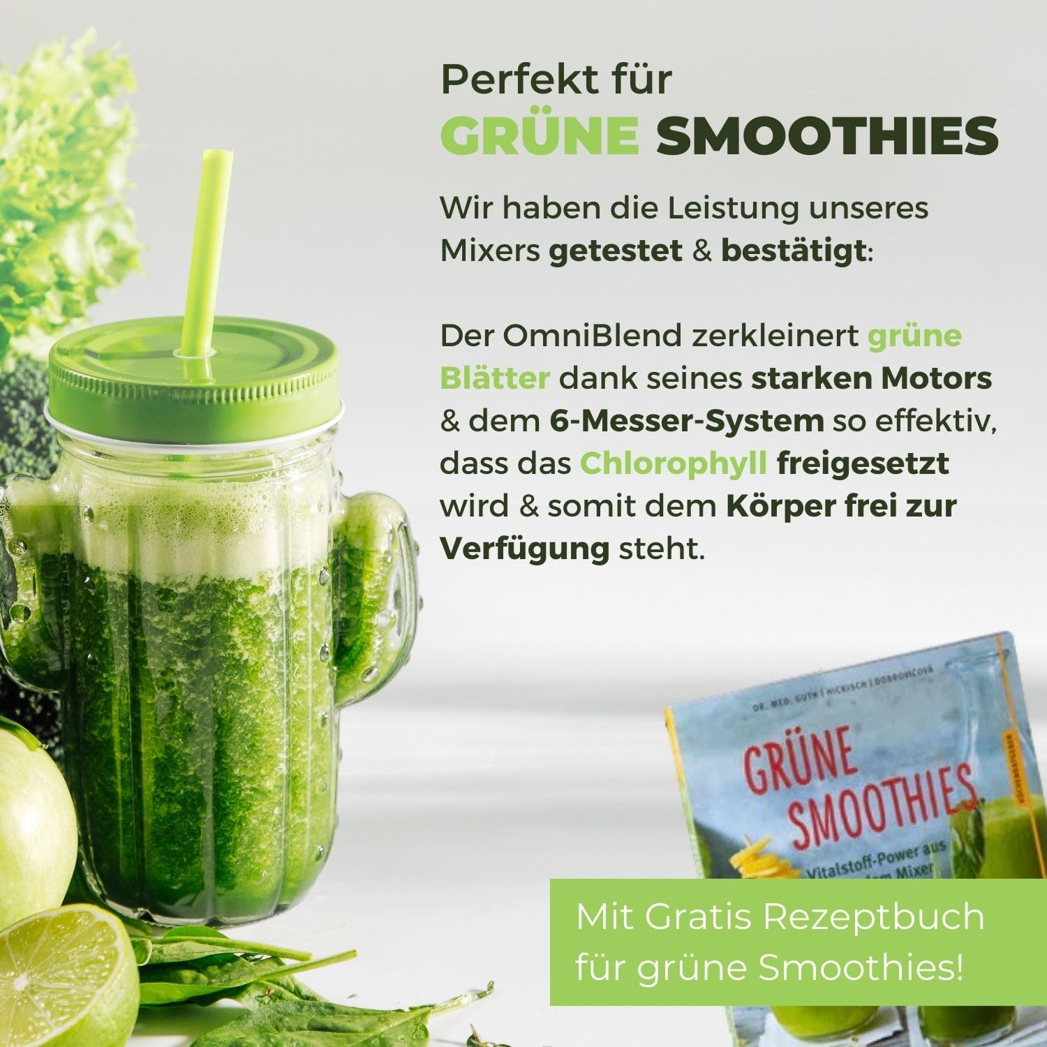OmniBlend Smoothie Maker, 2L, 6-Klingen-System, 3 PS Motor, für grüne Smoothies, Schwarz